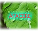 afacere